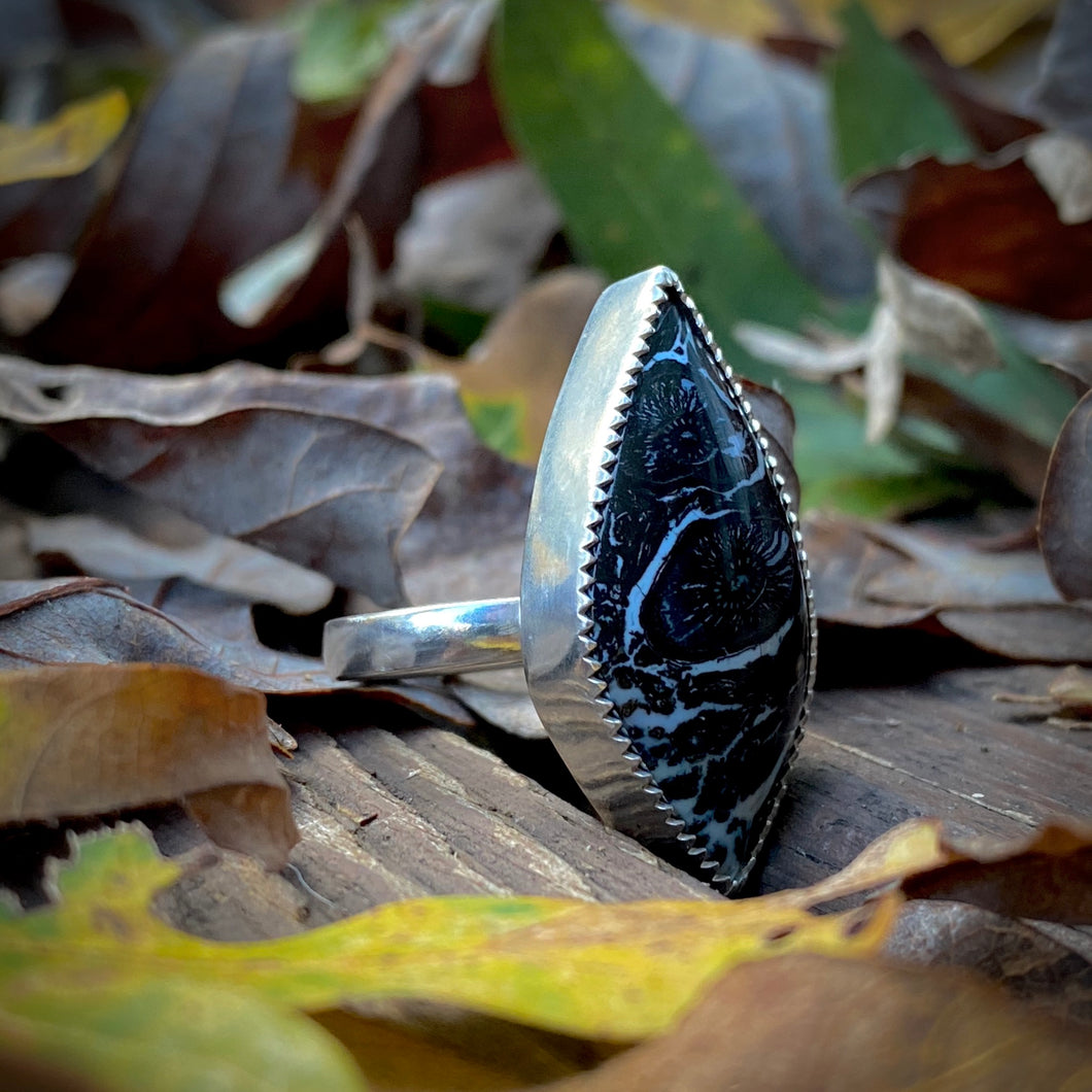 Black Palm Root Ring